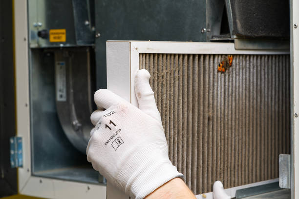 Best Local Air Duct Cleaning Services  in Bellerose, NY