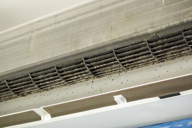 Best Affordable HVAC Duct Cleaning  in Bellerose, NY